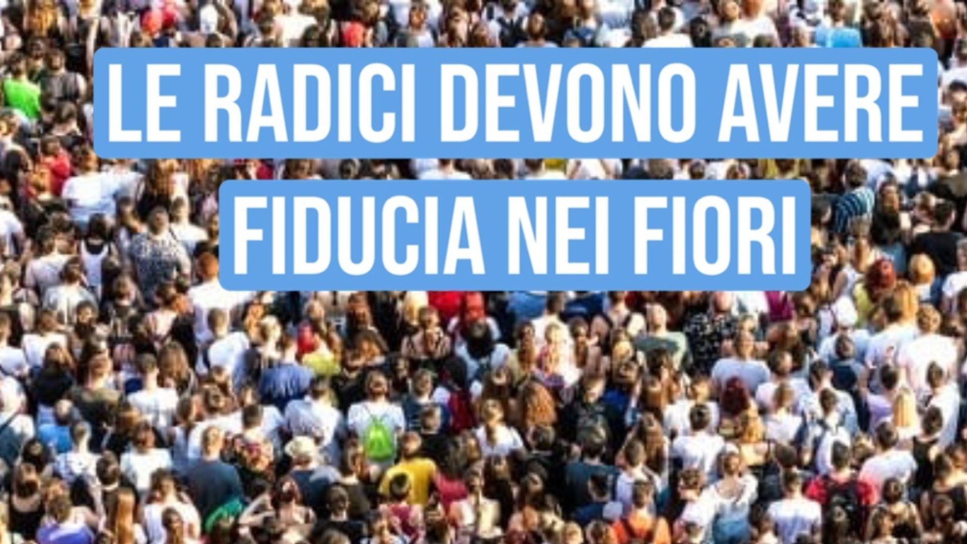 LE RADICI DEVONO AVERE FIDUCIA NEI FIORI